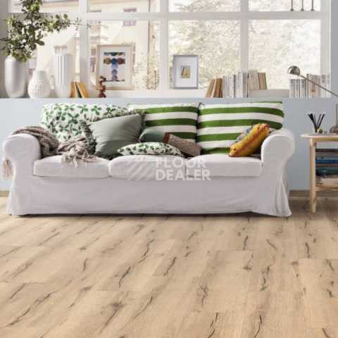 Haro Tritty 100 Campus 4V ДУБ ИТАЛИКА КРЕМОВЫЙ 532060 фото 3 | FLOORDEALER